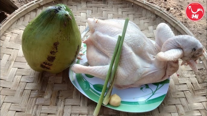 Chế biến Gà luộc nước dừa 651as