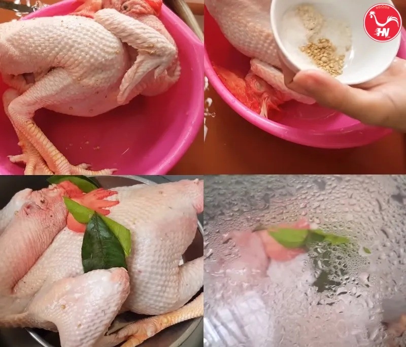 Chế biến Gà luộc nước dừa51 a5sa
