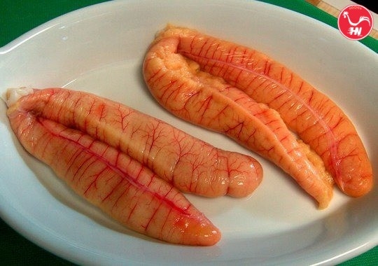 Cách Khử Mùi Tanh Trứng Cá Ngừ Đại Dương 6ss