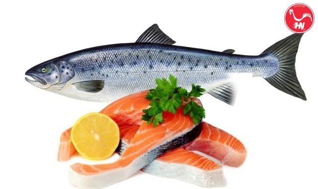 Cà Hồi Fillet Phần Bụng 216á2s6a