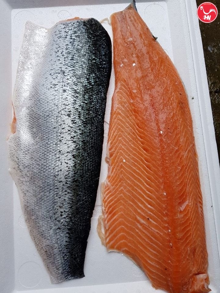 Cà Hồi Fillet Phần Bụng6 26a2s