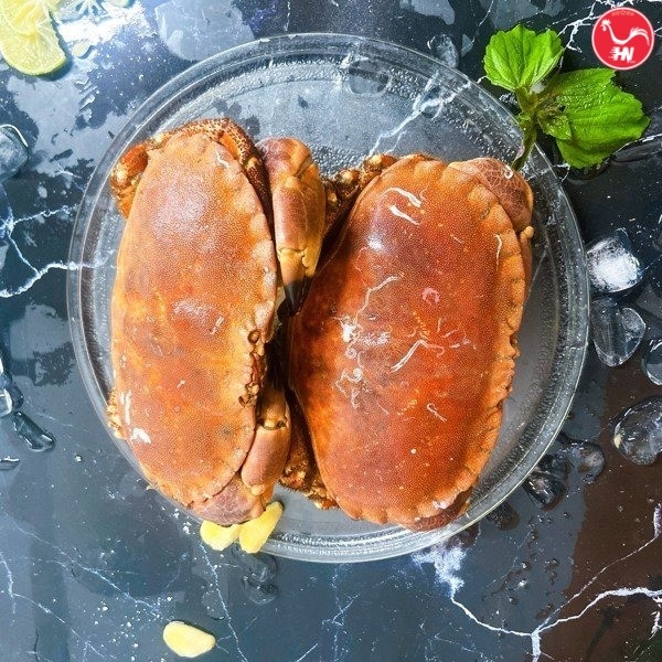 Khám Phá Cách Chế Biến Cua Nâu Ngon Miệng Hướng Dẫn Đầy Đủ 5669