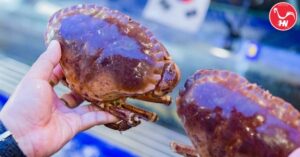 Khám Phá Cách Chế Biến Cua Nâu Ngon Miệng Hướng Dẫn Đầy Đủ26 á