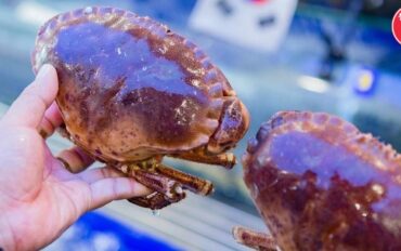 Khám Phá Cách Chế Biến Cua Nâu Ngon Miệng Hướng Dẫn Đầy Đủ26 á