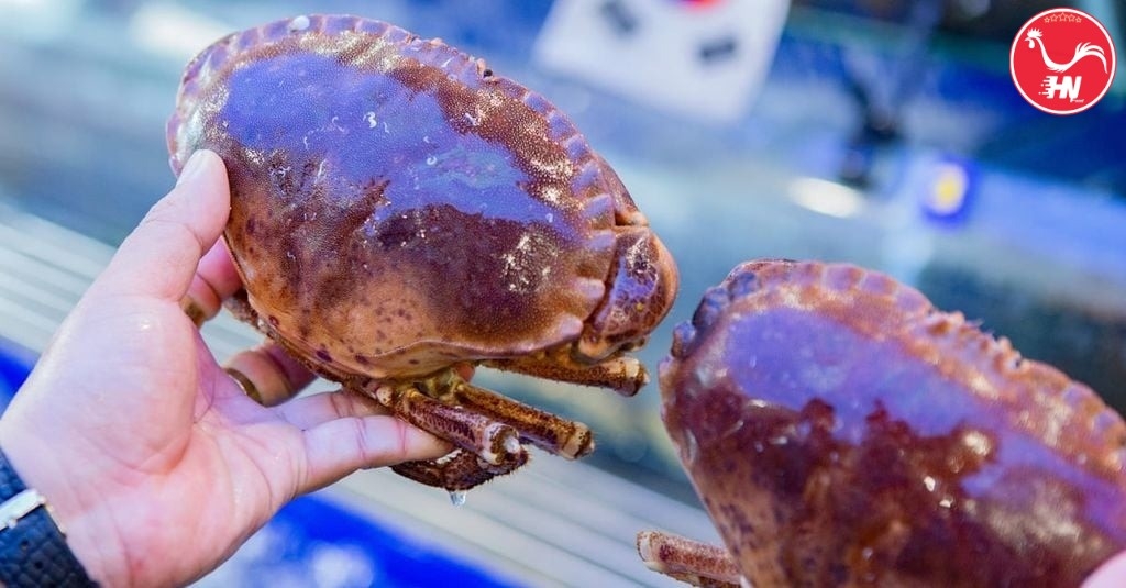 Khám Phá Cách Chế Biến Cua Nâu Ngon Miệng Hướng Dẫn Đầy Đủ26 á