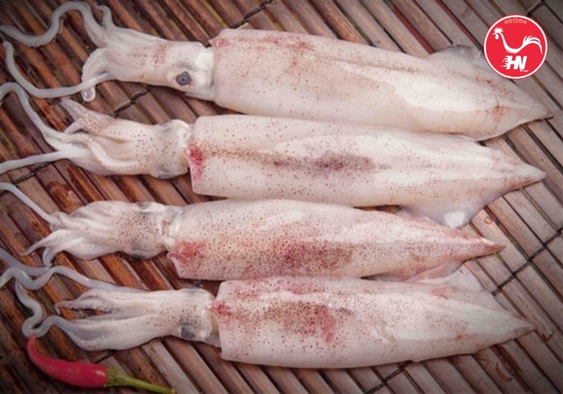 Bổ sung hải sản cho bé 69s Mực