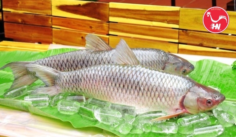 Bổ sung hải sản cho bé Lợi ích và nguyên tắc thực hiện 2 Cá Trắng