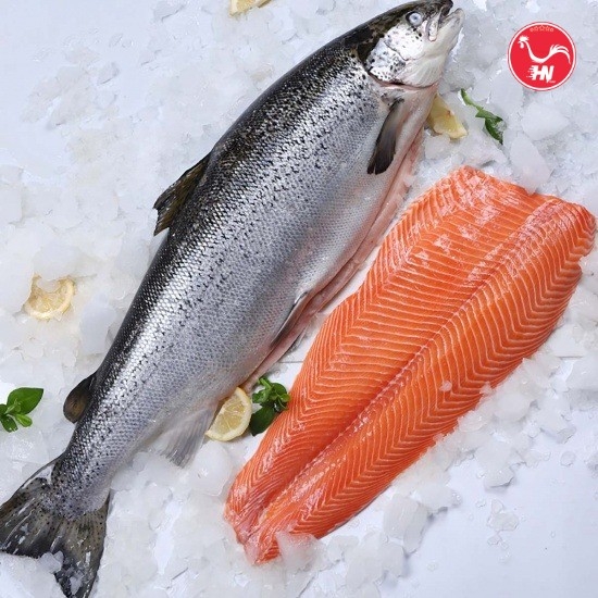 Cá Hồi Động Lạnh Có Ngon Không 3s