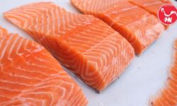 Cá Hồi Động Lạnh Có Ngon Không 47s