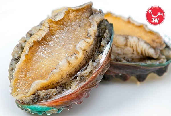 Thành Phần Dinh Dưỡng Của Bào Ngư a