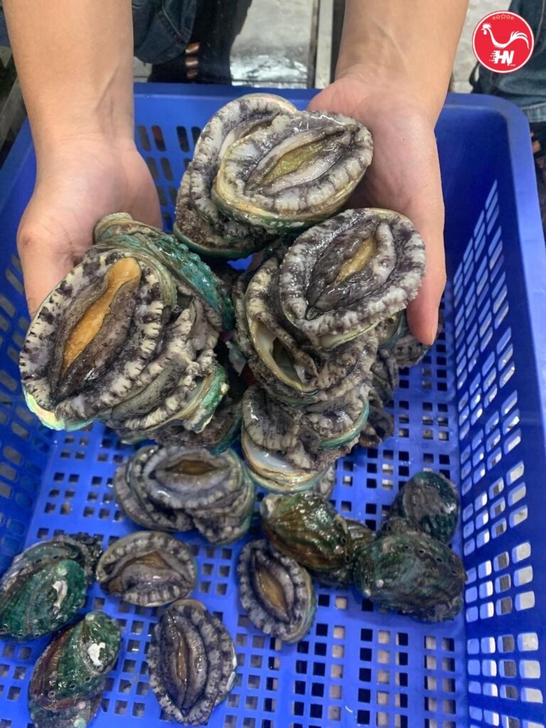 Thành Phần Dinh Dưỡng Của Bào Ngư6 2