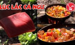 Cá ngừ đại dương lúc lắc6 26s