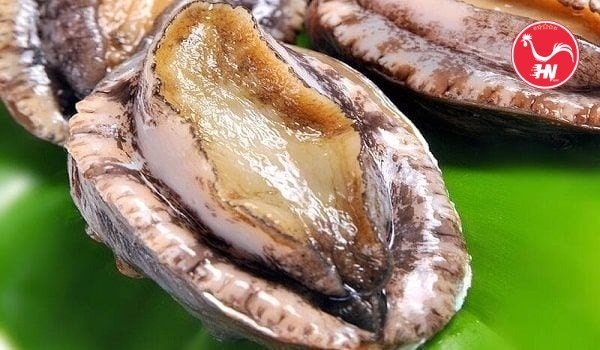 Khoai Môn Chưng Thịt Bào Ngư6 26sấ