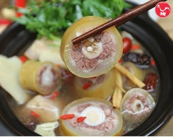 đuôi trâu Hầm bia 42354235đuôi trâu Hầm bia 42354235