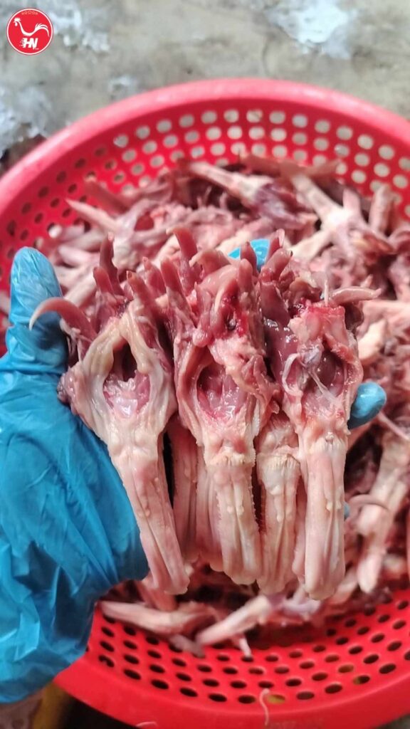 Công Ty Cung Cấp Lưỡi Vịt Chất Lượng Cao Tại TP HCM á5e81
