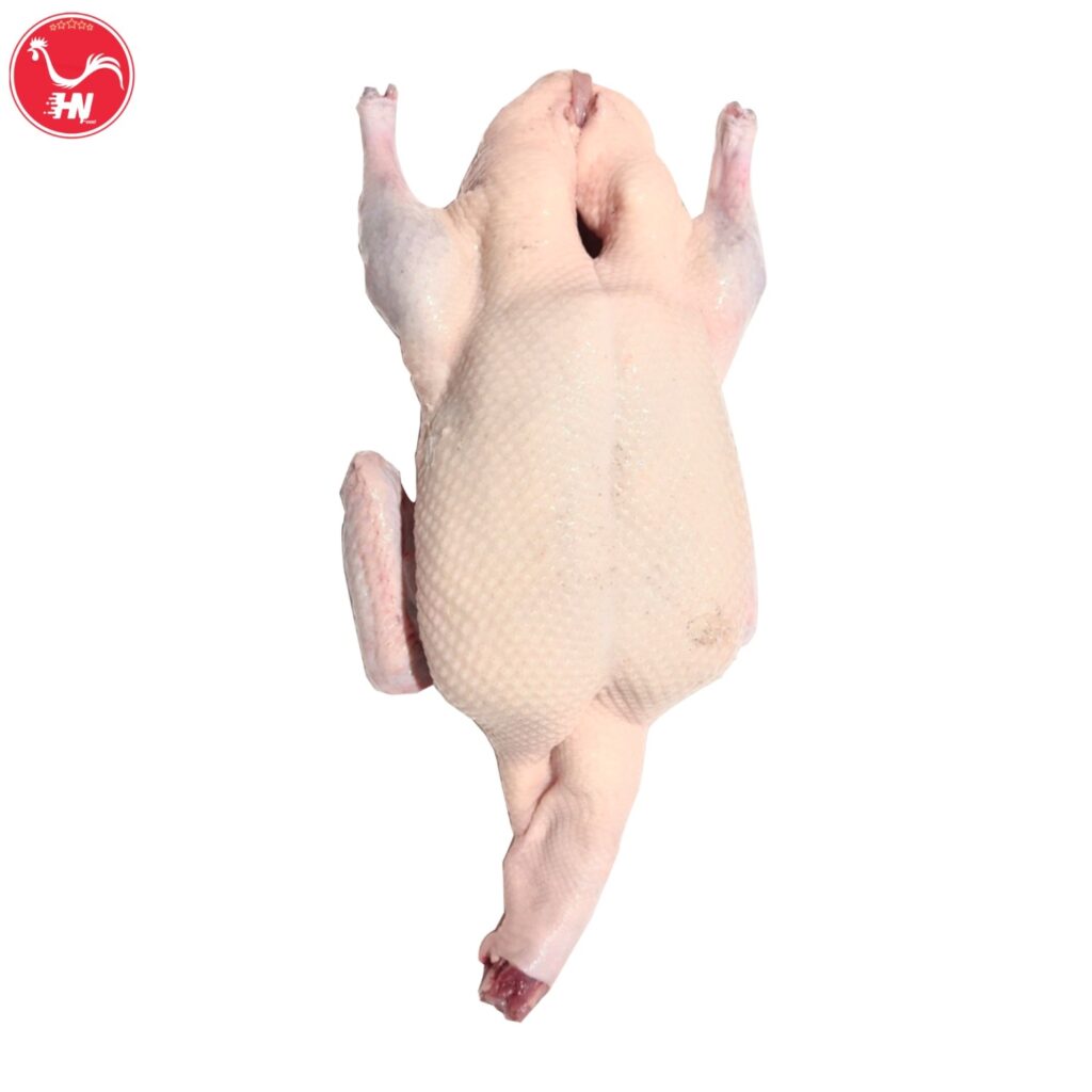Hướng Dẫn Lựa Chọn Bọng Vịt Tươi Ngon uong-5