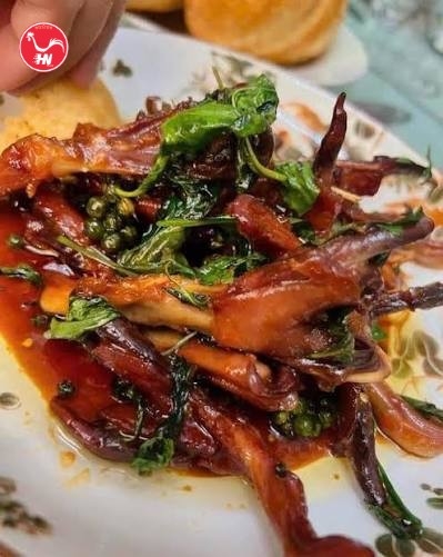 Hướng dẫn chi tiết để mua thịt vịt nhập khẩu sấges