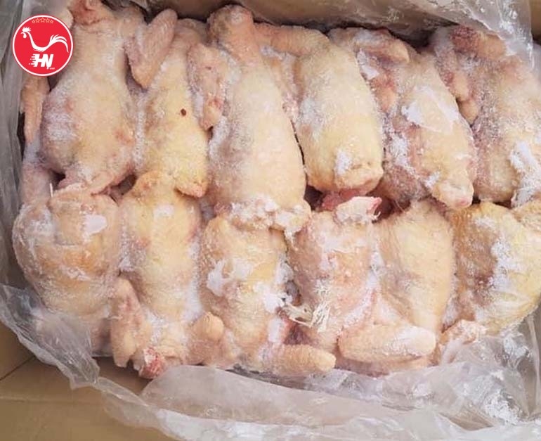 Công Ty Cung Cấp Gà Dai Nhập Khẩu Tại TP HCM as-rysaâso-01