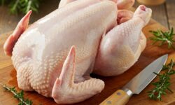 Công Ty Cung Cấp Gà Dai Nhập Khẩu Tại TP HCM e_ifuzififuzififuz