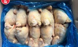Công Ty Cung Cấp Gà Dai Nhập Khẩu Tại TP HCM s8D1-B650-8E679896D642