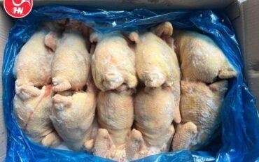 Công Ty Cung Cấp Gà Dai Nhập Khẩu Tại TP HCM s8D1-B650-8E679896D642