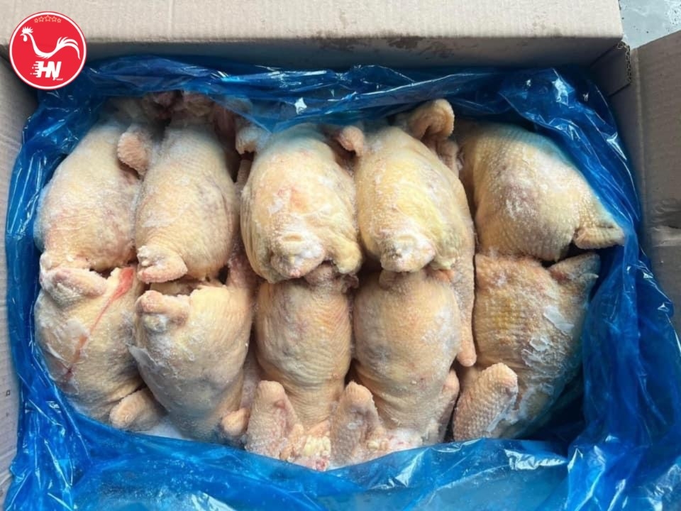 Công Ty Cung Cấp Gà Dai Nhập Khẩu Tại TP HCM s8D1-B650-8E679896D642