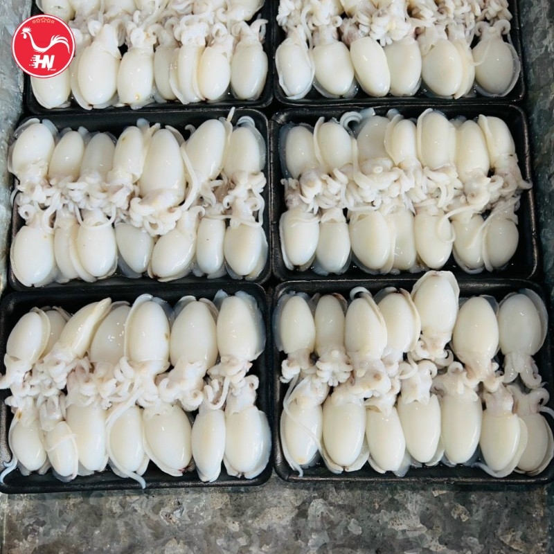 Công Ty Cung Cấp Mực Nang Nút Giá Sỉ Tại TP HCM 2(17)s