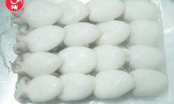 Công Ty Cung Cấp Mực Nang Nút Giá Sỉ Tại TP HCM VjODIuanBnIn0=