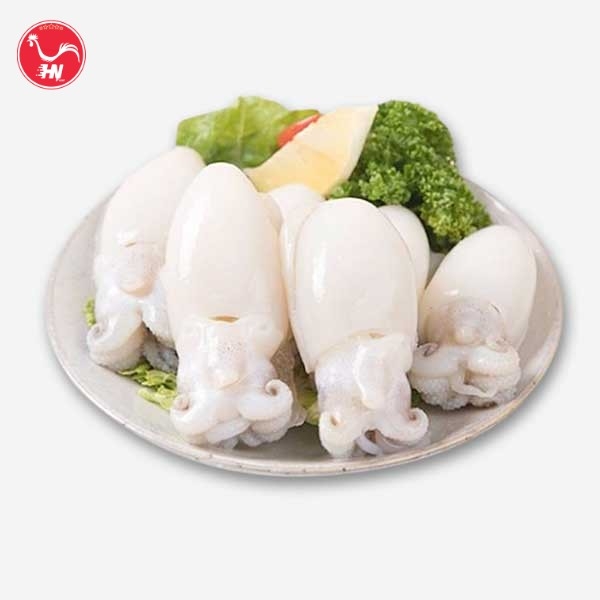 Công Ty Cung Cấp Mực Nang Nút Giá Sỉ Tại TP HCM s-n1