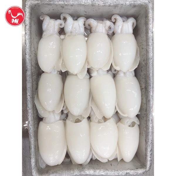 Công Ty Cung Cấp Mực Nang Nút Giá Sỉ Tại TP HCM ut-7