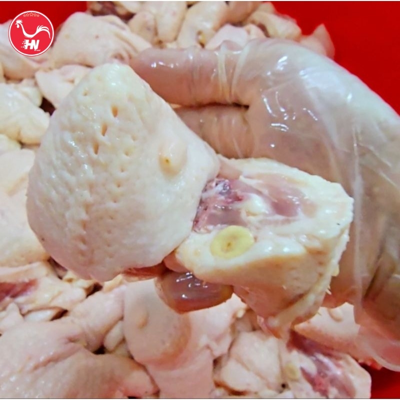 Công Ty Cung Cấp Phao Câu Gà Giá Sỉ Tại TP HCM s4p7i6k1va7