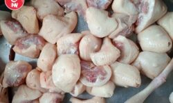 Công Ty Cung Cấp Phao Câu Gà Giá Sỉ Tại TP HCM sages