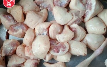 Công Ty Cung Cấp Phao Câu Gà Giá Sỉ Tại TP HCM sages